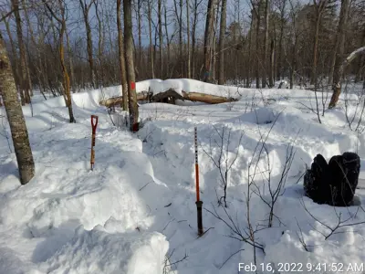 Survey marker in snow