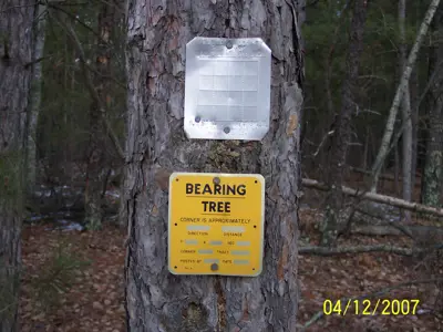 Bearing tree marker