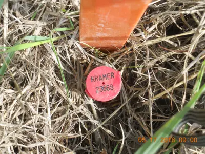 Survey marker in the ground