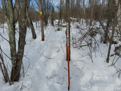 Survey marker in snow