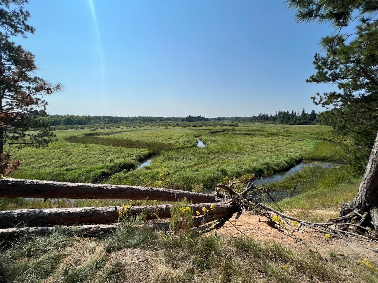 Mississippi river overlook